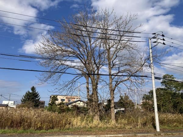 Residential Land with Building Potential - Photo 1