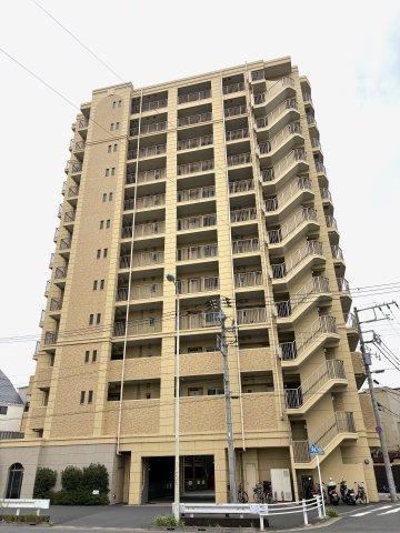 Renovated Apartment with Owner's Exclusive Insights - Photo 1