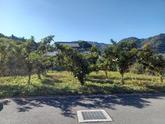 plot of land in Tsukumi