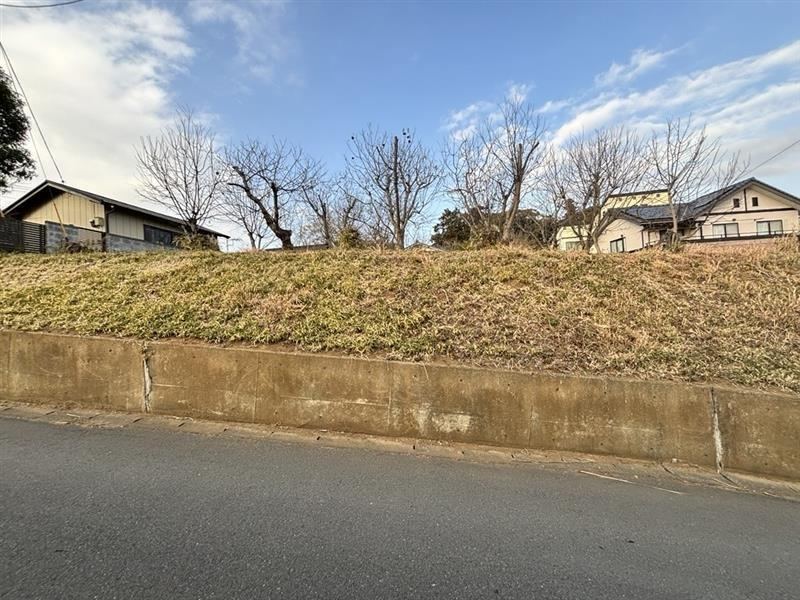 Scenic Elevated Residential Land - Photo 1