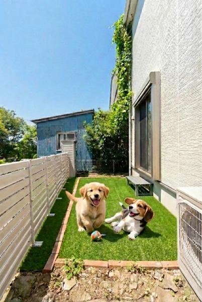 Charming 4LDK Home with Garden in Machida - Photo 1