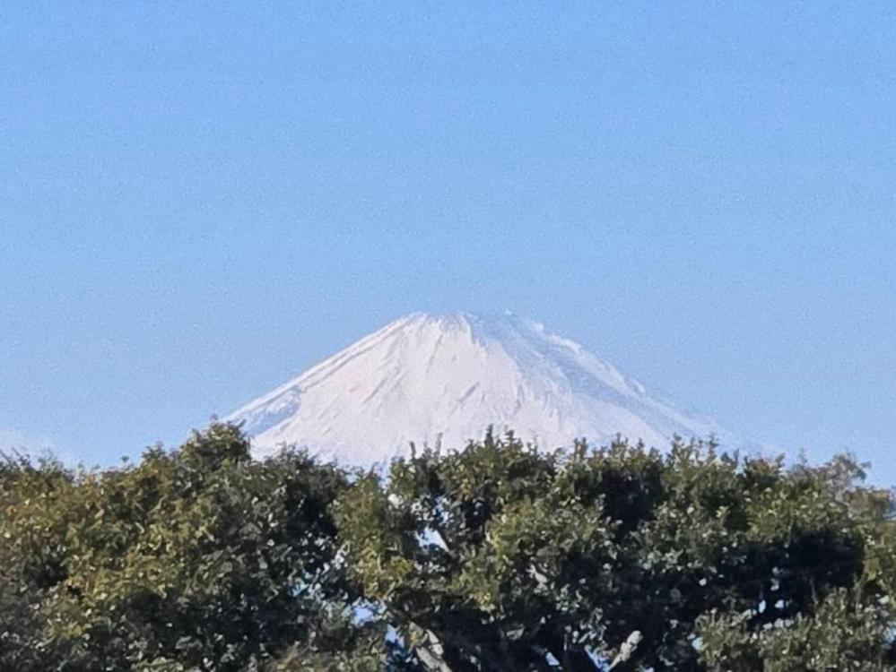 316 m² land in Kamakura, Kanagawa - Photo 1