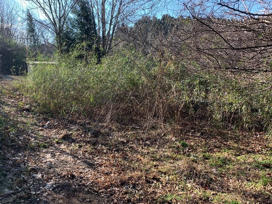 Spacious Land in Tsubonuma - Photo 1
