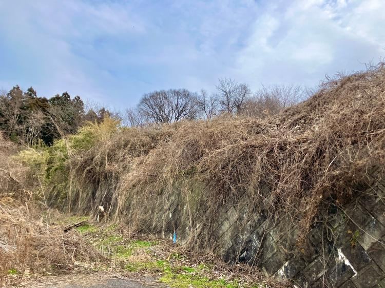 Versatile Land for Various Uses in Maiki Town - Photo 1