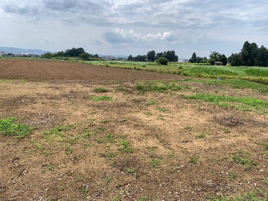 Flat Land in Kayahama Area - Photo 1