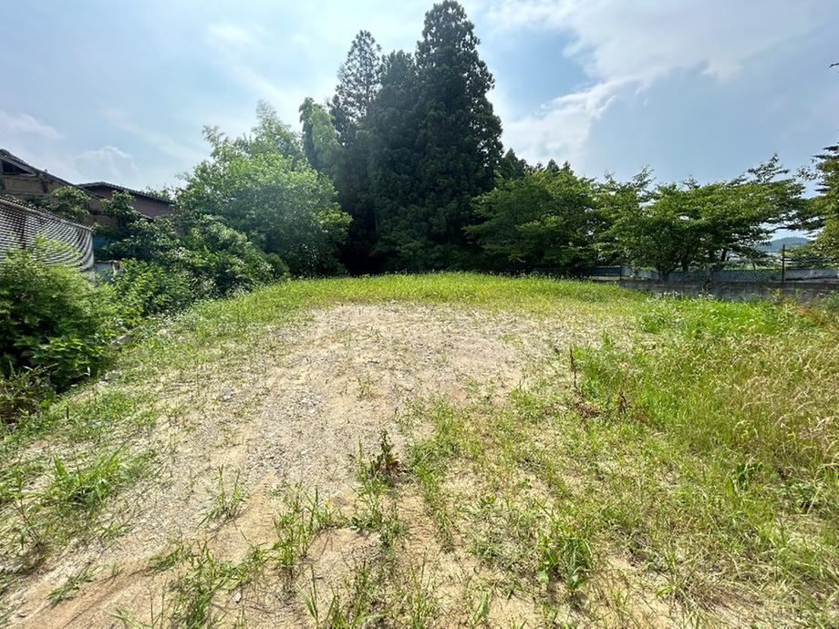 Ideal Land Surrounded by Nature - Photo 1