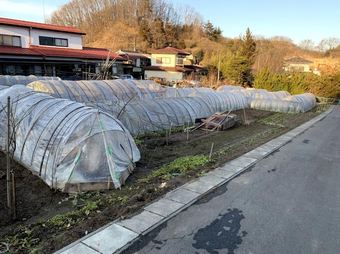 plot of land in Tamura District