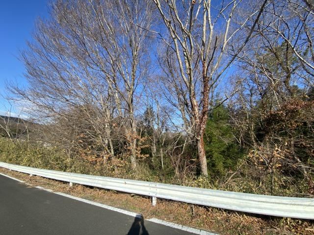 Expansive Land for Nature Lovers in Yamamoto - Photo 1