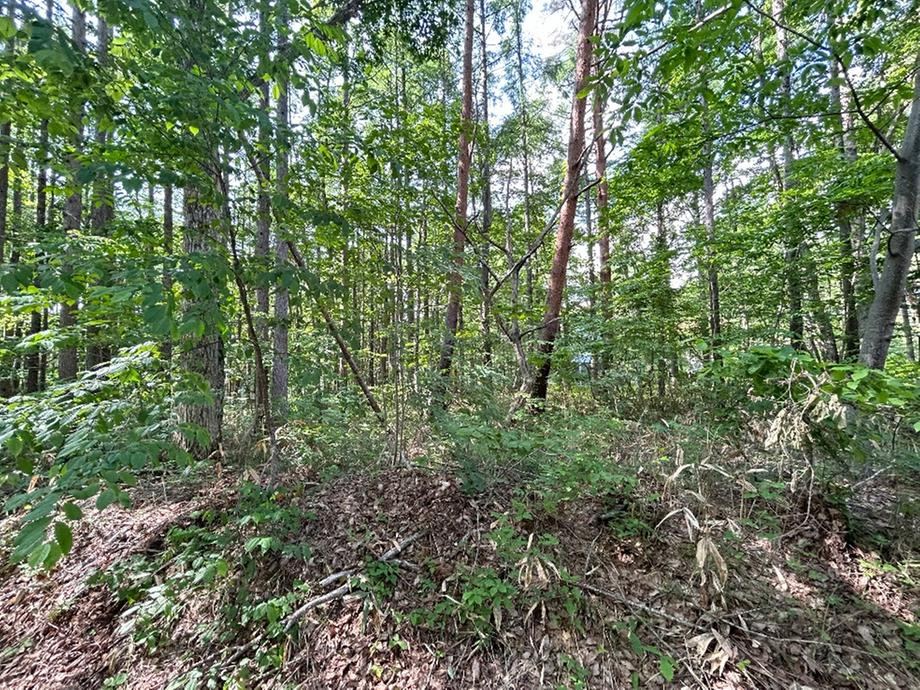 Versatile Land for Seasonal Recreation in Inawashiro - Photo 1
