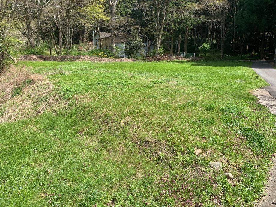 Spacious Land in Aino with Green Surroundings - Photo 1