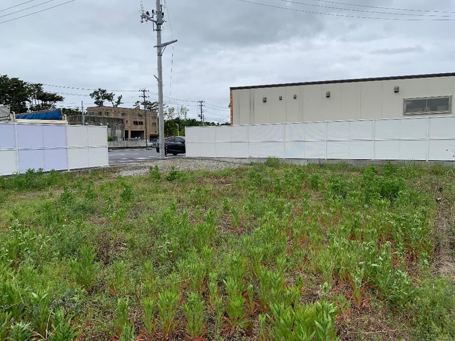Land for Storage or Farming in Watanoha - Photo 1