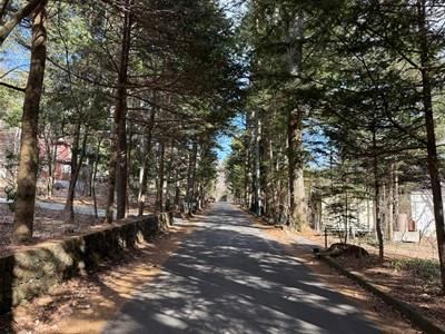 1020 m² land in Karuizawa, Kitasaku District, Nagano - Photo 1