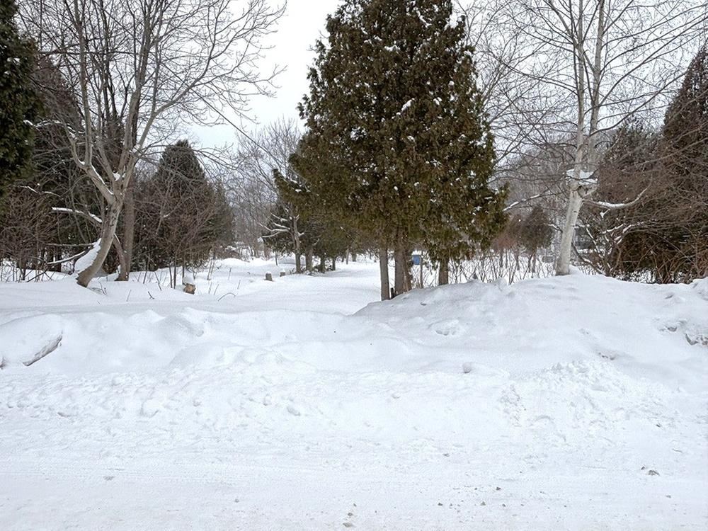Private Space Surrounded by Nature in Sapporo - Photo 1