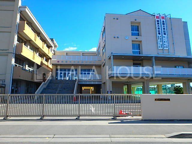 Thumbnail 3