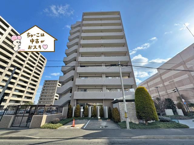 Renovated 3LDK+S Apartment Near Aeon - Photo 1