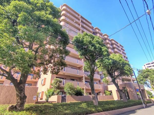 3LDK apartment in Miyazaki, Miyazaki - Photo 1