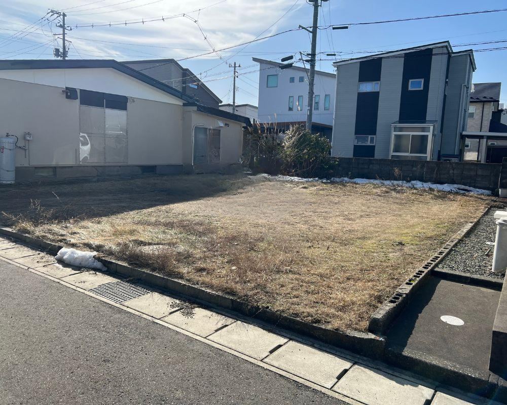 Land in Shinya Toyomachi - Photo 1