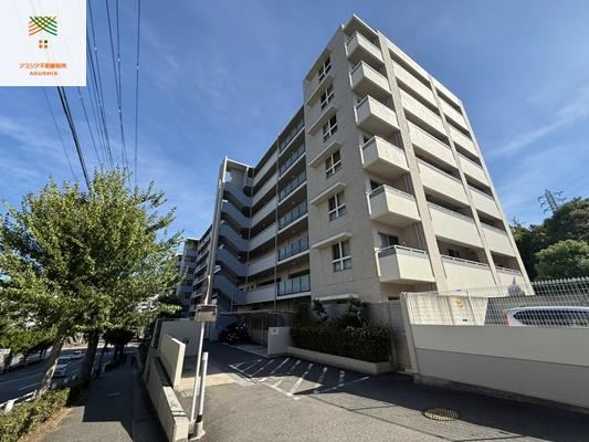 Property - Photo 1