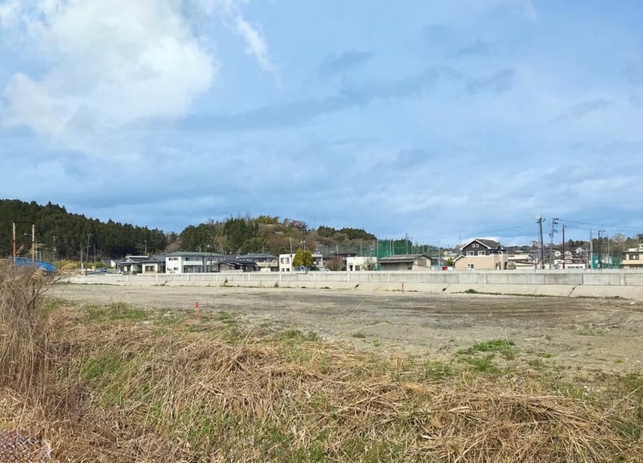 Large Land Along Route 45 - Photo 1