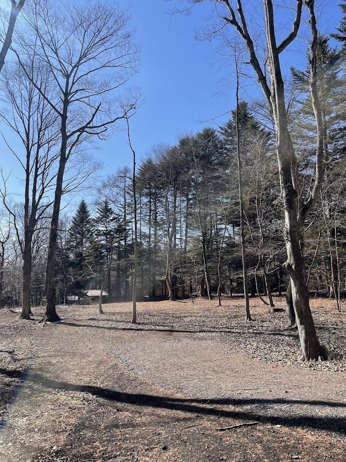 Property - Photo 1