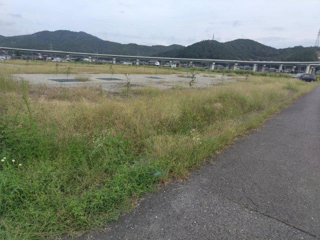 Property - Photo 1