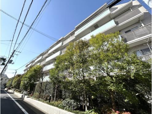 Elegant 3LDK Apartment in Nakacho - Photo 1