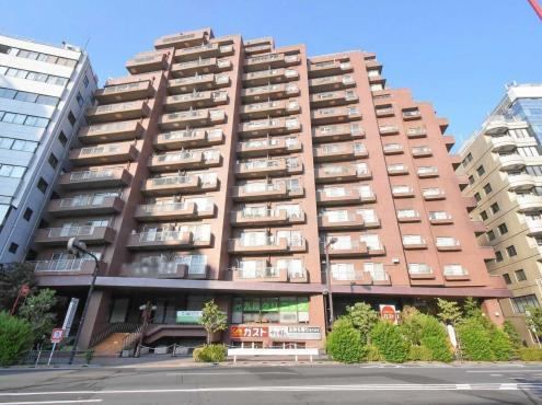 1LDK+2S apartment in Chiyoda Ward, Tokyo - Photo 1