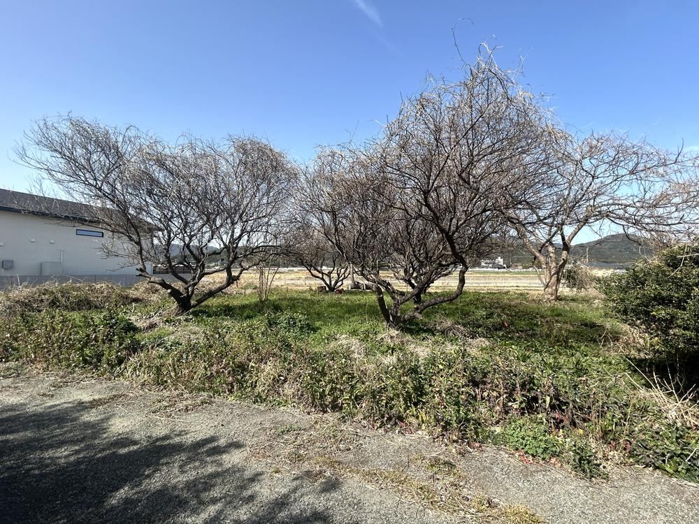 284 m² land in Miyako, Miyako District, Fukuoka - Photo 1