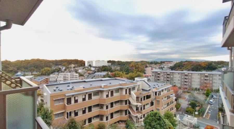 Stylish 3LDK Apartment with Full Renovation - Photo 1