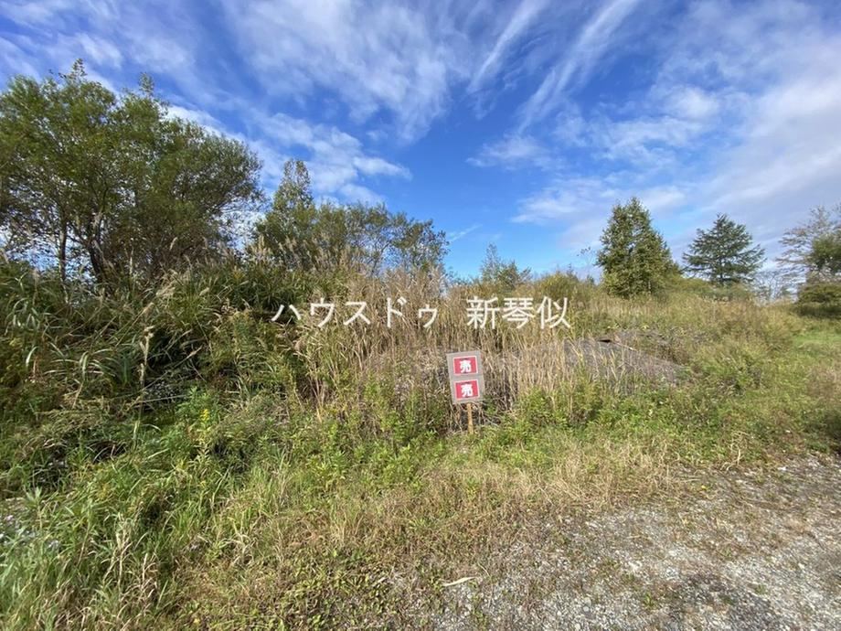 Affordable Land in Oomagari - Photo 1