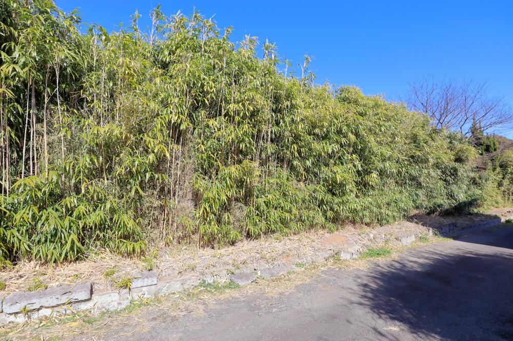 Sunny Land Near Taiyo Station - Photo 1