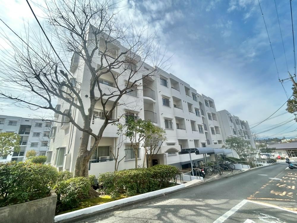 Renovation Scheduled for March 2026: 3LDK with Southwest Balcony - Photo 1