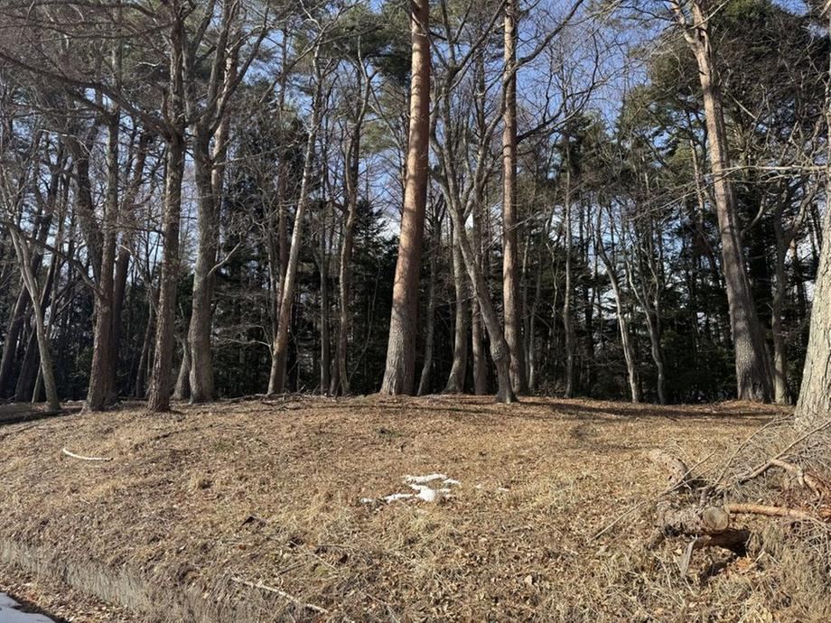 2699 m² land in Oshino, Minamitsuru District, Yamanashi - Photo 1