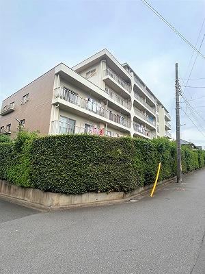 Renovated 3LDK Apartment with Updated Kitchen - Photo 1