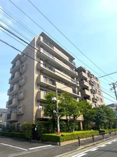 3LDK Renovated Apartment with Flexible Viewing - Photo 1