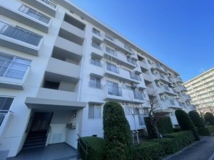 Renovated 3LDK Apartment with Great Sunlight - Photo 1