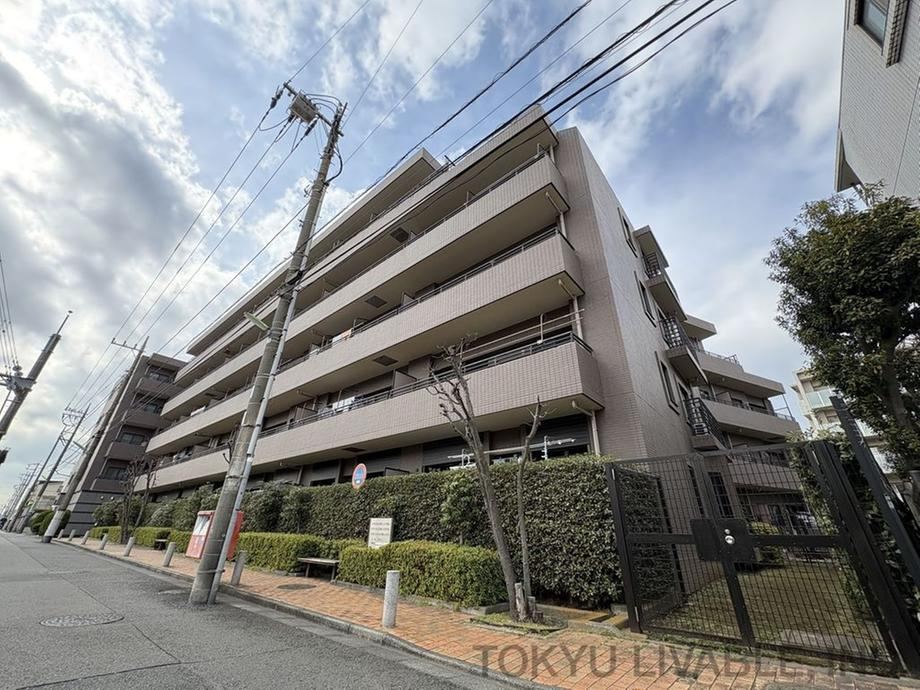 Property - Photo 1
