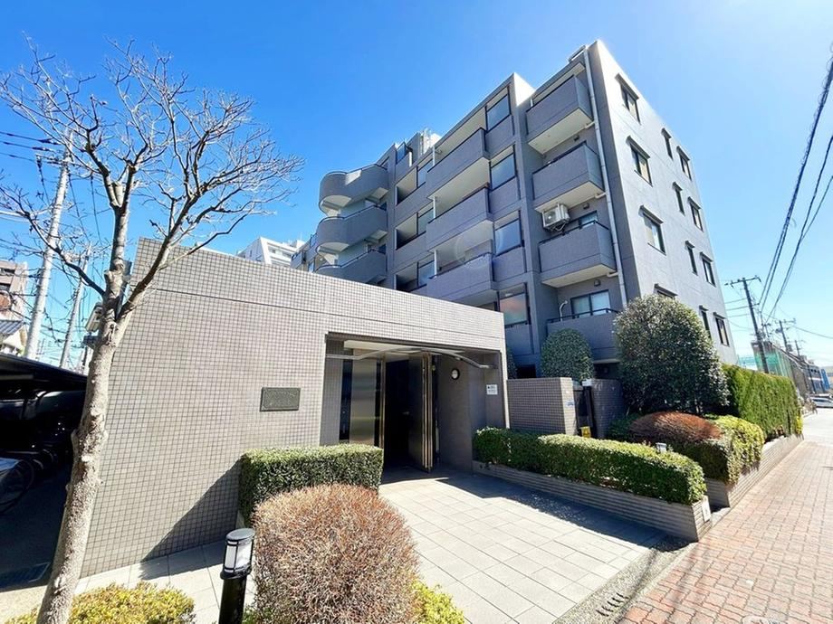 Sunny 1LDK Apartment with Terrace - Photo 1