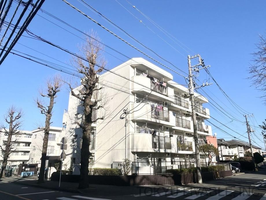 3LDK apartment in Miyamae Ward, Kawasaki, Kanagawa - Photo 1