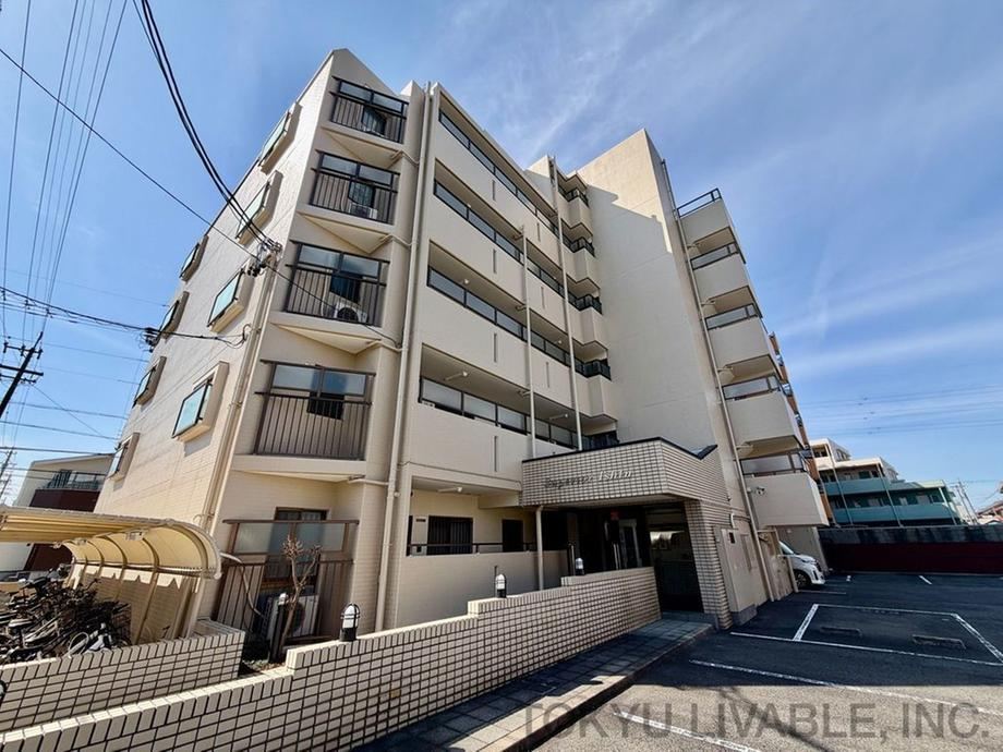 Property - Photo 1