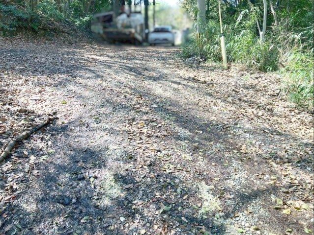 Property - Photo 1