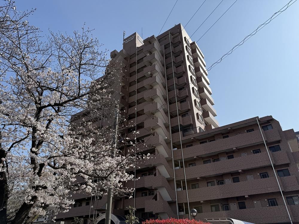 Property - Photo 1