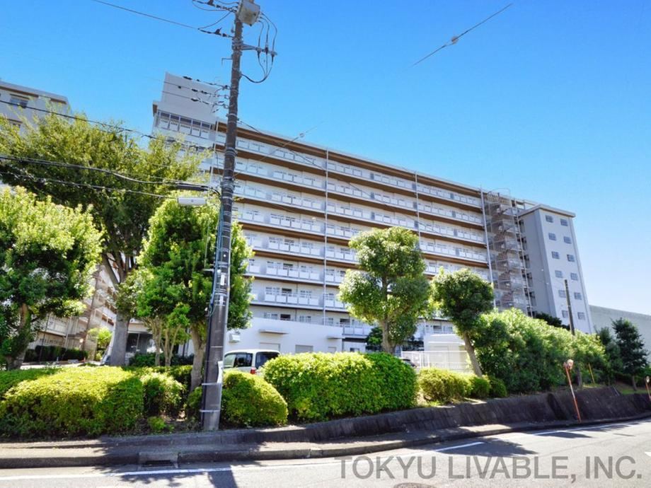 3LDK apartment in Sakae Ward, Yokohama, Kanagawa - Photo 1