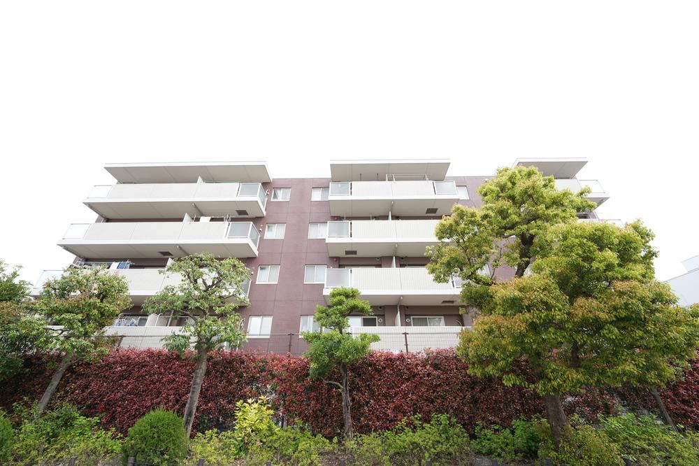 Property - Photo 1