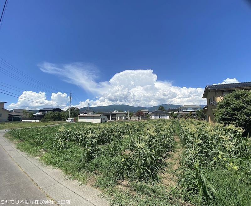 663 m² land in Tomi, Nagano - Photo 1