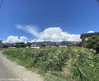 plot of land in Tomi