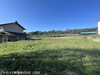 plot of land in Tomi