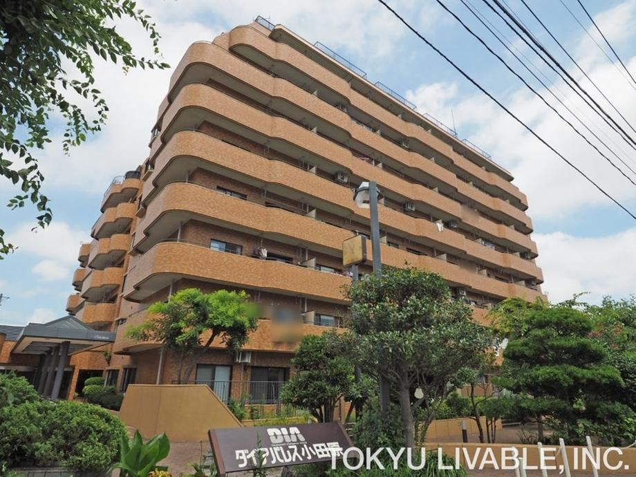 Property - Photo 1