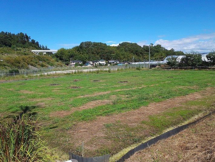 1519 m² land in Saku, Nagano - Photo 1