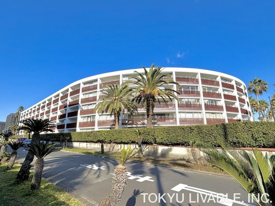 2LDK apartment in Zushi, Kanagawa - Photo 1